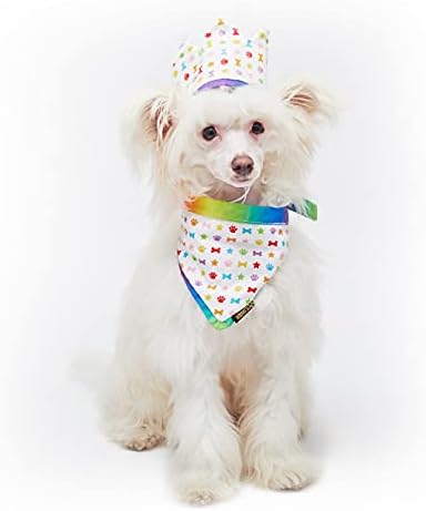 Дома од миленичиња Лондон куче или мачка роденден Бандана реверзибилно во забава Среќни светли бои - Прославете го среќен роденден