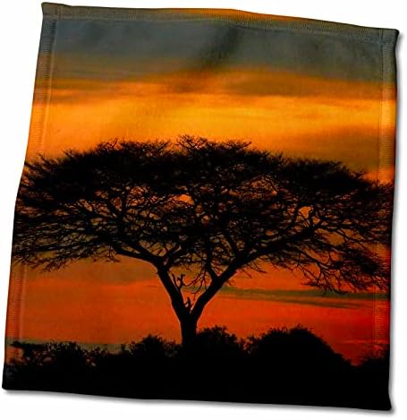 3дроза Изгрејсонце над багремови дрвја, Етоша НП, Намибија, Африка. - Крпи