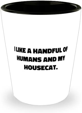 Инспиративна Куќа Мачка, Ми се допаѓа Неколку Луѓе и Мојата Домашна Мачка., Уникатен Роденден Од Љубителите На Мачки